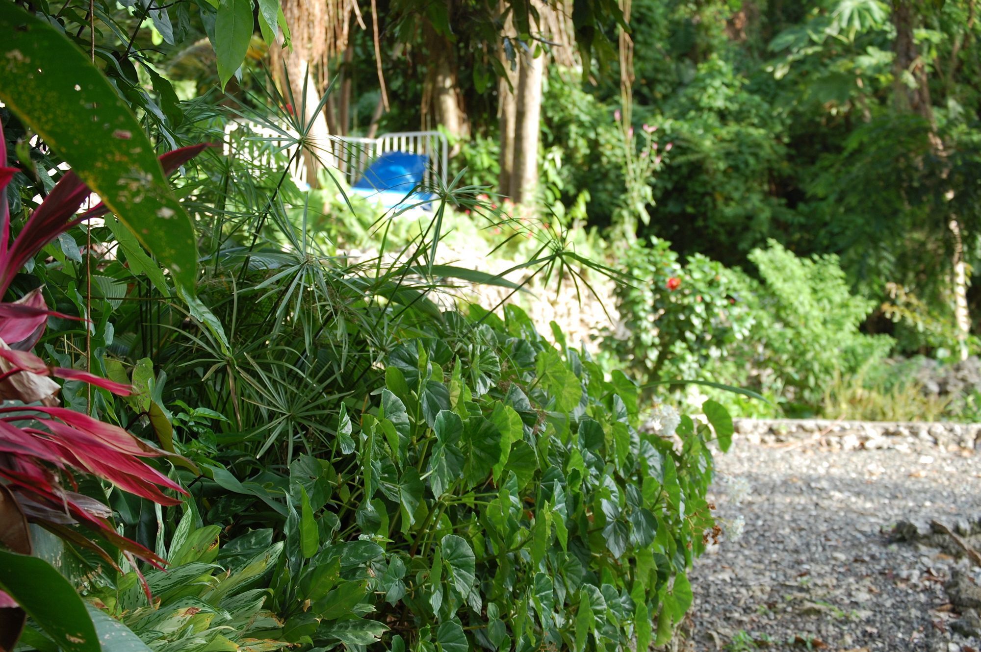 Hotel Mockingbird Hill Port Antonio Exterior photo