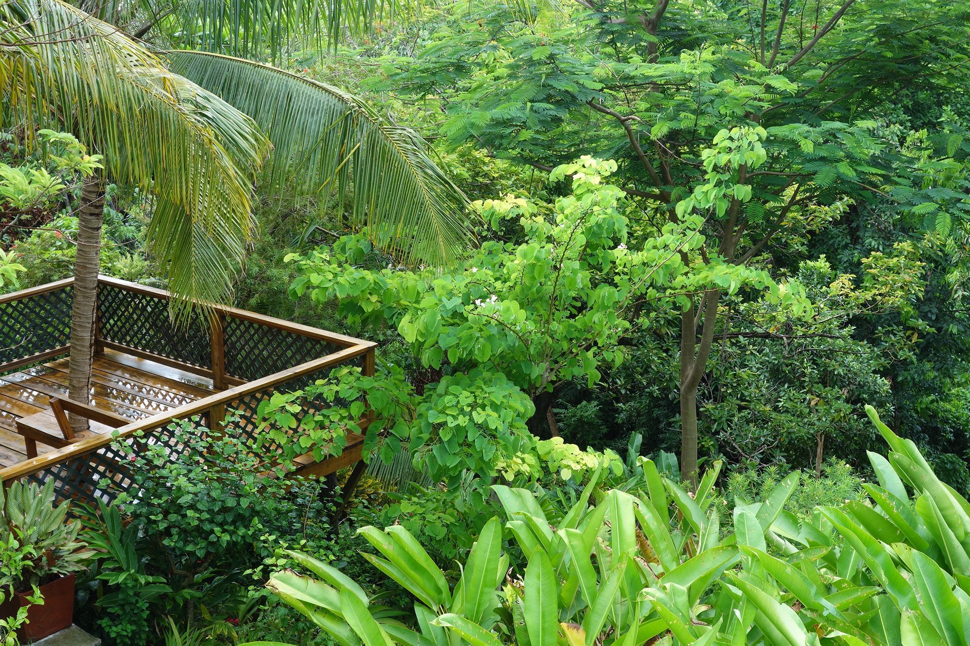 Hotel Mockingbird Hill Port Antonio Exterior photo